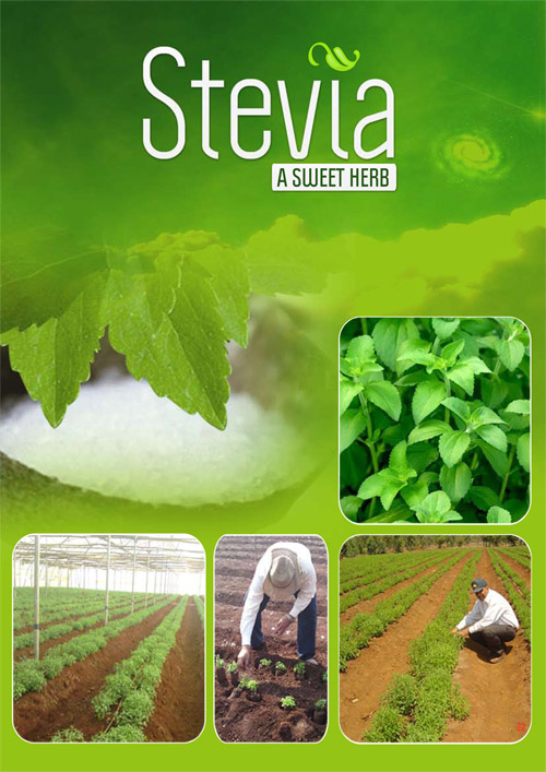 Agro Wonder Catalogue Stevia-1